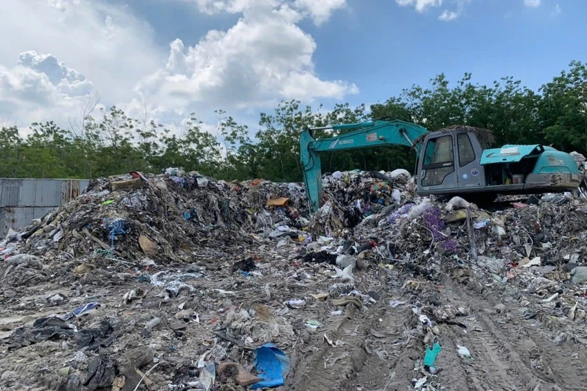 tội phạm về môi trường