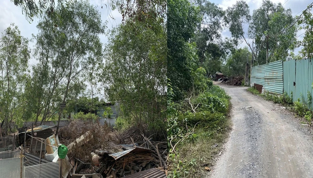 13 năm tranh luận