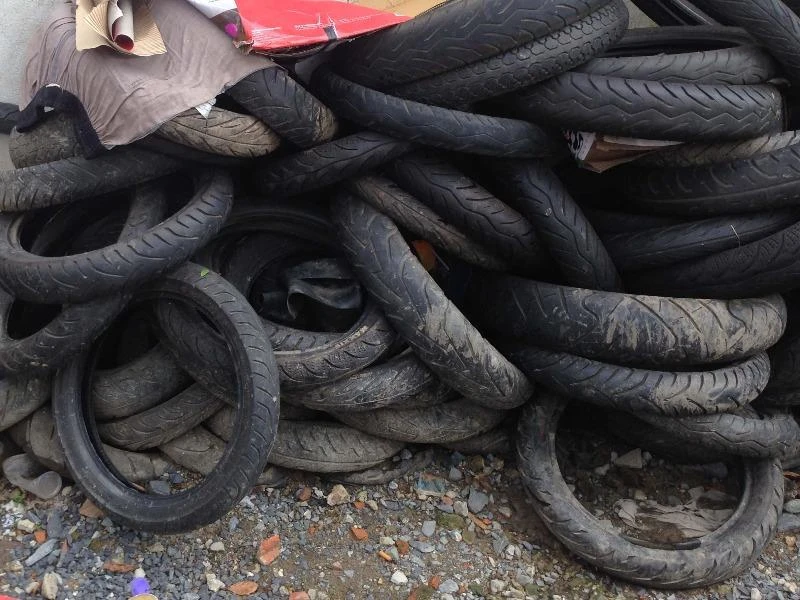 Muỗi và lăng quăng xuất hiện rất nhiều trong các vỏ xe đọng nước. Ảnh: TRẦN NGỌC