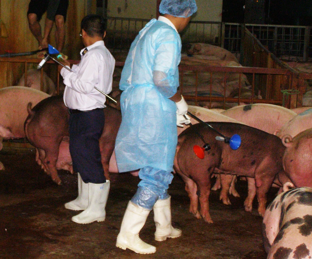 Chất cysteamine chính thức bị cấm sử dụng ảnh 1