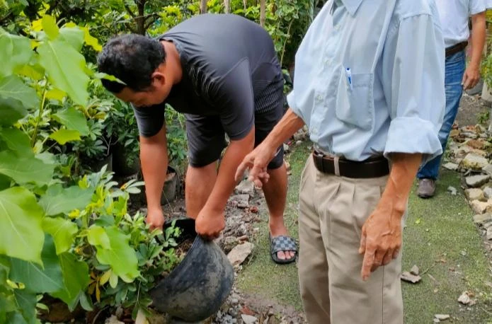 Dân quận 12, TP.HCM dọn dẹp vệ sinh, phòng sốt xuất huyết. Ảnh: TRẦN NGỌC