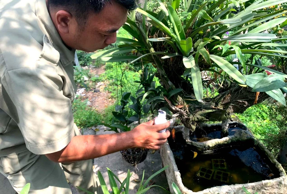 Người dân quận 12, TP.HCM dùng hóa chất diệt lăng quăng. Ảnh: TRẦN NGỌC