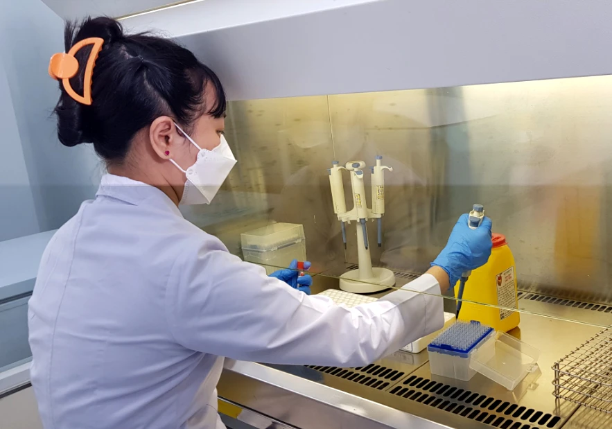 Nhân viên y tế HCDC đang xử lý mẫu huyết thanh. Ảnh: TRẦN NGỌC