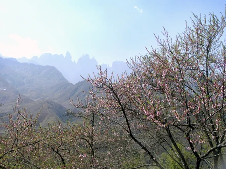 Phạm Ngọc Triển