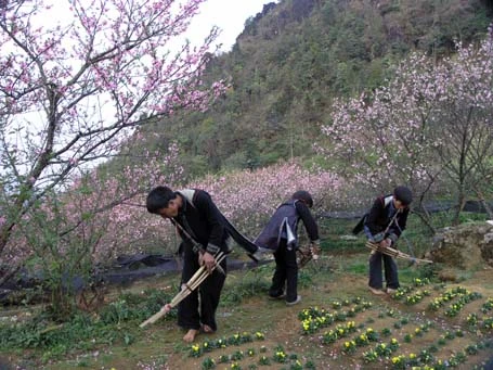 Phạm Ngọc Triển