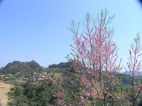 Phạm Ngọc Triển