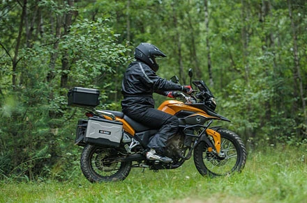 Minks khù khờ được tái sinh