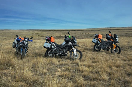 Minks khù khờ được tái sinh