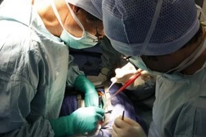 (Nguồn: Daily Mail)