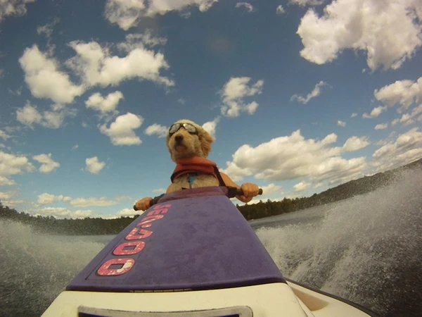 Những khoảnh khắc "phi thường" của động vật ảnh 22