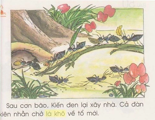 Giật mình với hình minh họa trong sách giáo khoa Tiếng Việt 1 ảnh 1