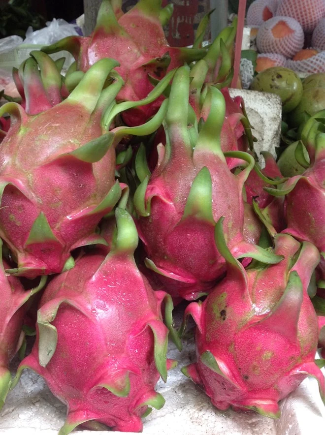 5 loại hoa quả giải nhiệt tốt nhất cho những ngày hè ảnh 2