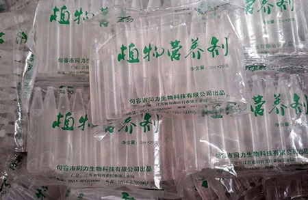 Sử dụng hóa chất này, mỗi ngày đầu lậu có thể sản xuất ra nửa tấn giá đỗ.