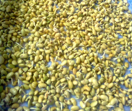 Người tiêu dùng có thể tự phân biệt được giá có sử dụng hóa chất hay không bằng mắt thường.