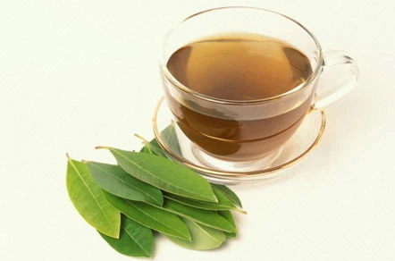 Thức uống giải khát ngày hè