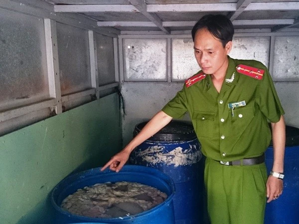 Bắt quả tang 2 đối tượng vận chuyển 250kg nội tạng bốc mùi ảnh 1