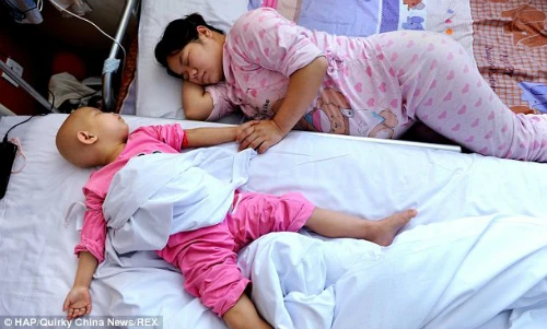 Khi biết con gái có thể được cứu nếu có máu cuống rốn của trẻ sơ sinh, họ đã quyết định sinh thêm một đứa con nữa.