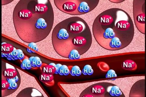 Tác dụng phụ của dưa leo ảnh 2 Tác dụng phụ của dưa leo ảnh 2