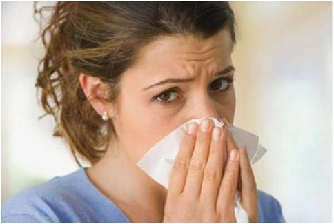 Tác dụng phụ của dưa leo ảnh 7 Tác dụng phụ của dưa leo ảnh 7