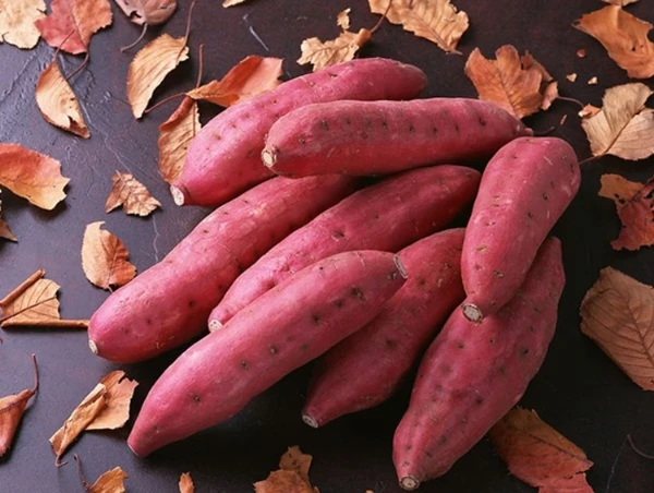 Lợi ích hơn cả thuốc của khoai lang ảnh 1