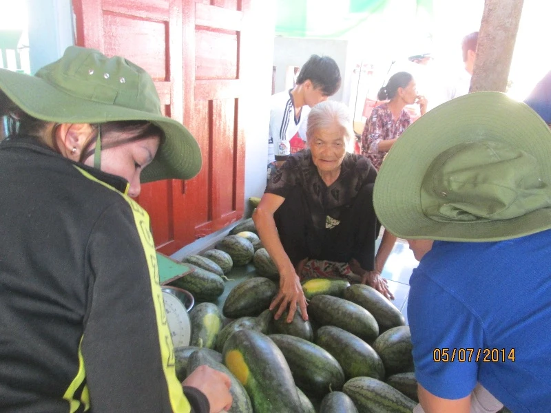 Nhịp sống Lý Sơn ảnh 5