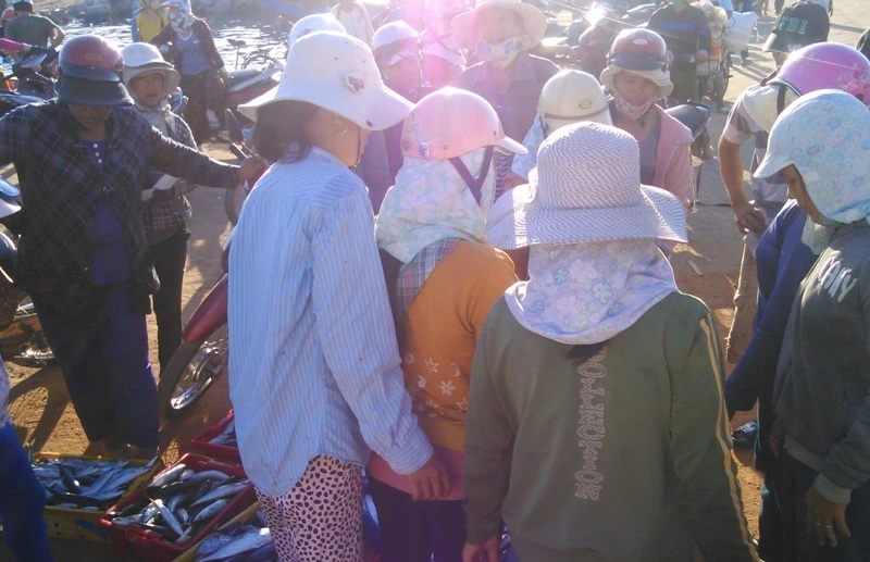 Nhịp sống Lý Sơn ảnh 7