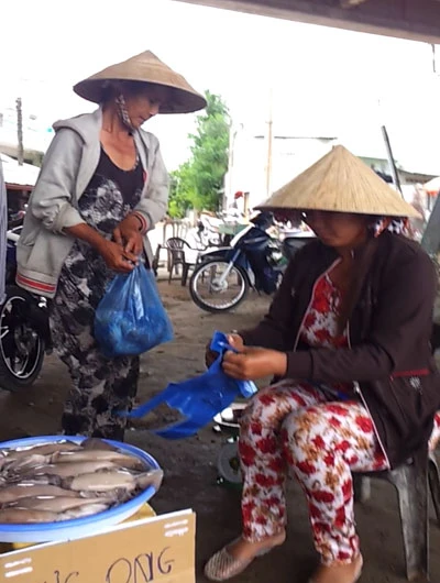 Xác định mực ống lạ không nhiễm hóa chất độc hại