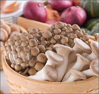 Mẹo hay chọn thực phẩm tươi ngon