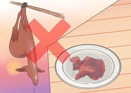 Ebola, virus Ebola, đại dịch Ebola, phòng và điều trị Ebola, biến chứng nguy hiểm của Ebola