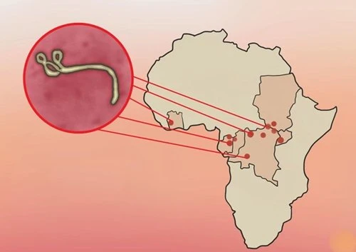 Ebola, virus Ebola, đại dịch Ebola, phòng và điều trị Ebola, biến chứng nguy hiểm của Ebola