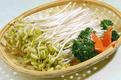 5 lợi ích bất ngờ từ giá đỗ