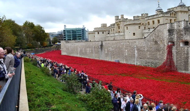 Đông đảo du khách đến tham quan "dòng sông hoa anh túc" - Ảnh: itsallbee.com