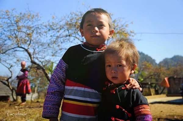 Lung linh mùa xuân trong nắng miền Tây Bắc ảnh 11