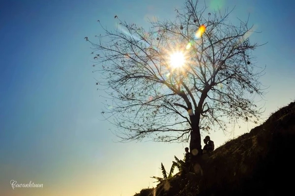 Lung linh mùa xuân trong nắng miền Tây Bắc ảnh 9