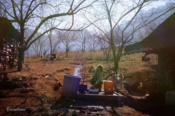 Lung linh mùa xuân trong nắng miền Tây Bắc ảnh 13