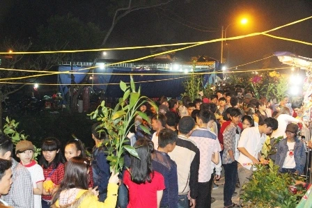 Sôi động lễ hội chợ Đình Bích La ảnh 6