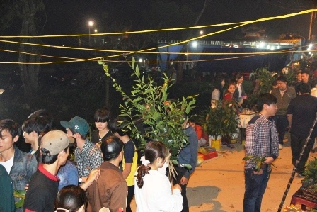 Sôi động lễ hội chợ Đình Bích La ảnh 4