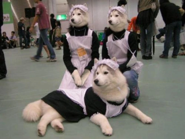 Phì cười với những bức ảnh hài hước trùng hợp khó tin ảnh 21