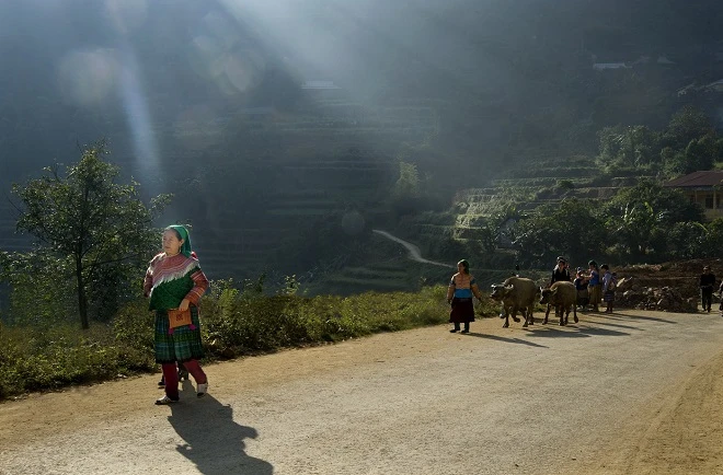 Vẻ đẹp quê hương qua ống kính bà cụ Sài Gòn ảnh 8