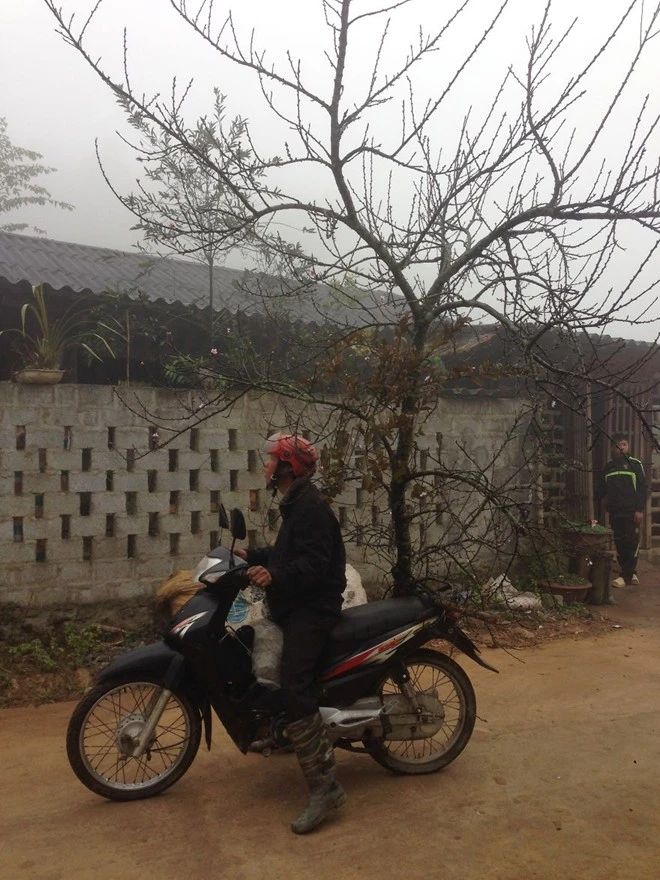 20 hình ảnh gây sốc về vận chuyển người và hàng hóa 