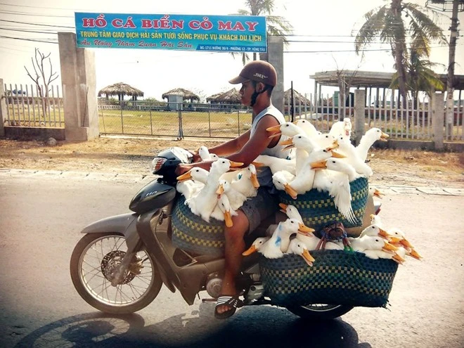 20 hình ảnh gây sốc về vận chuyển người và hàng hóa 