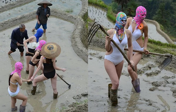 Chân dài diện áo tắm, đọ đường cong trên ruộng ảnh 2 Chân dài diện áo tắm, đọ đường cong trên ruộng ảnh 2