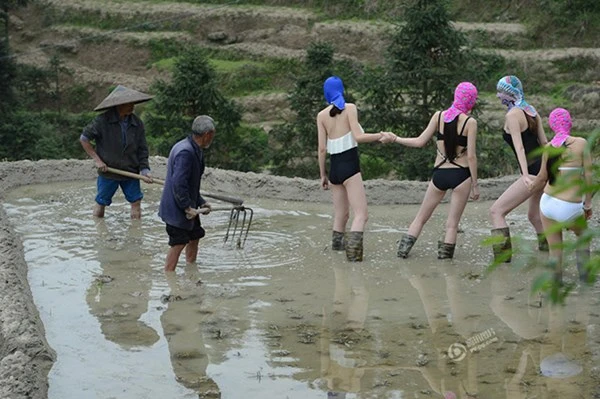 Chân dài diện áo tắm, đọ đường cong trên ruộng ảnh 3