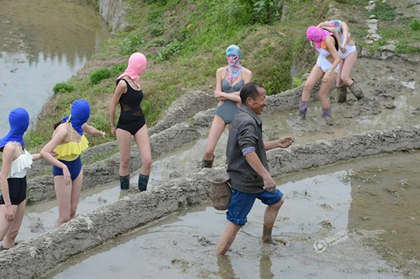 Chân dài diện áo tắm, đọ đường cong trên ruộng ảnh 4