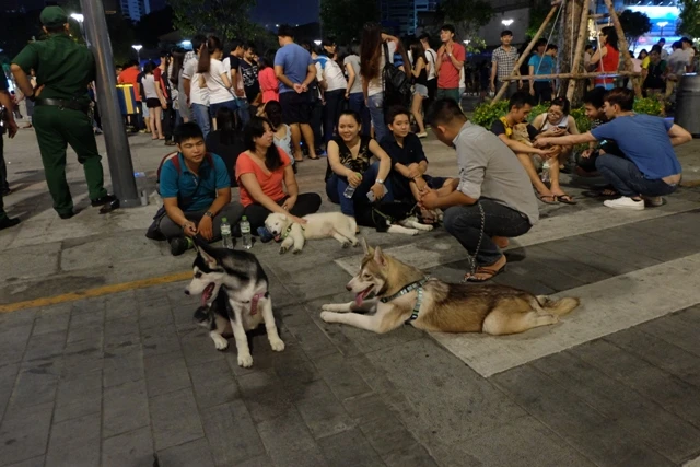 Giới trẻ Sài Gòn 'khoe' chó ở phố đi bộ Nguyễn Huệ ảnh 4