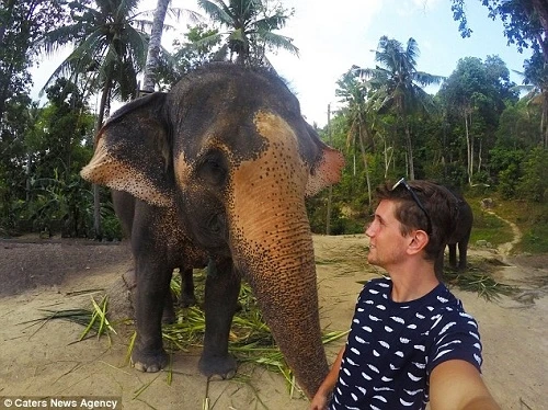 Voi biết chụp hình "tự sướng" tại Thái Lan ảnh 2