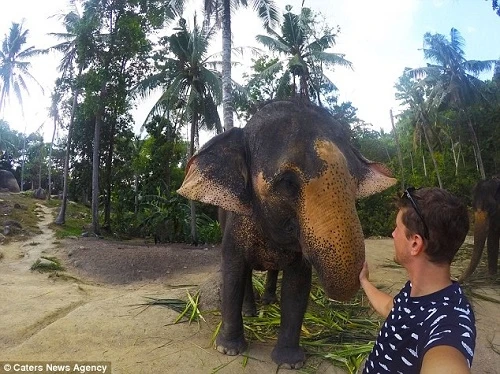 Voi biết chụp hình "tự sướng" tại Thái Lan ảnh 3