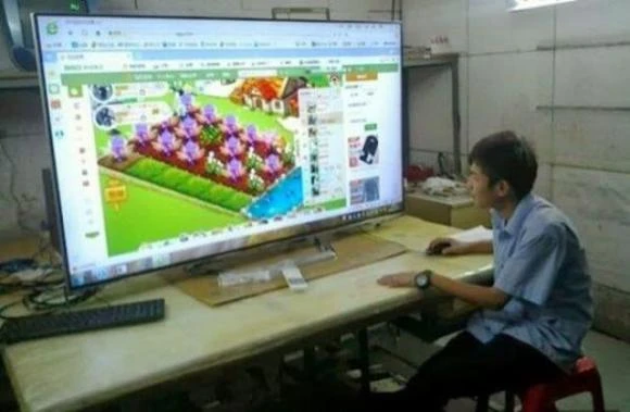 'Chết cười' với những bức ảnh hài hước ảnh 3