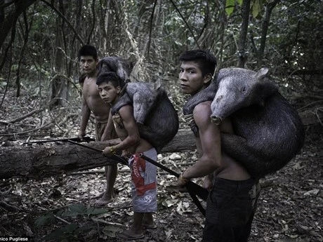 Bộ tộc kỳ lạ: Nhận động vật hoang dã làm con ảnh 5