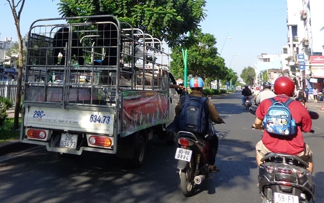 Bêu 'ông gấu' trên đường để quảng cáo gánh xiếc ảnh 3